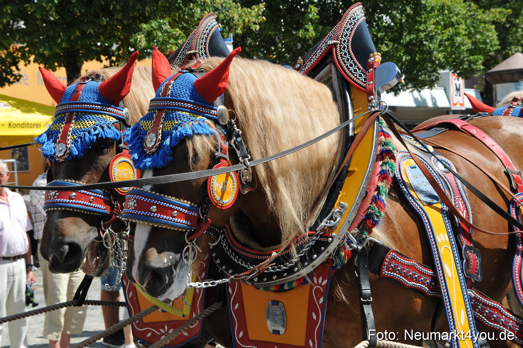 Volksfest Neumarkt 100814 0090
